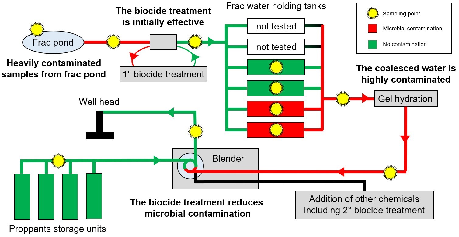 A complementary approach to microbial risk assessment in hydraulic fracturing