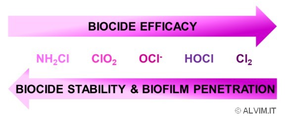Chlorine species - efficacy versus stability