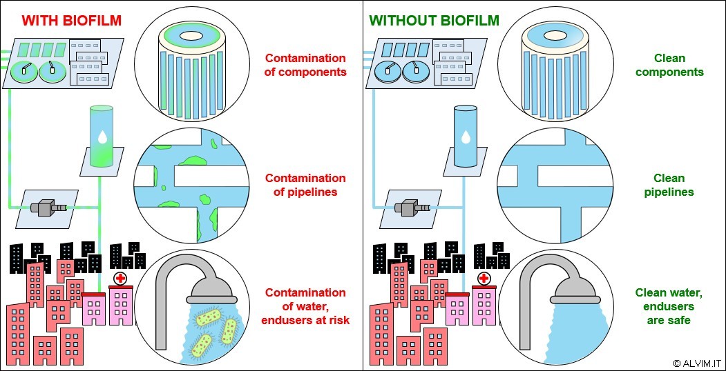 Biofilm contamination and related issues along the whole water network