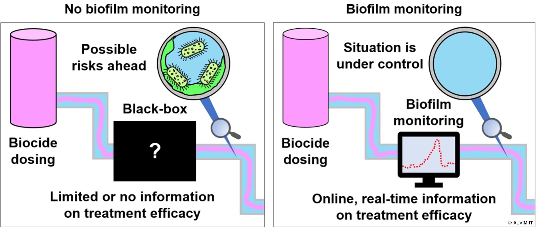 Importance of biofilm monitoring to check the efficacy of the sanitation protocol