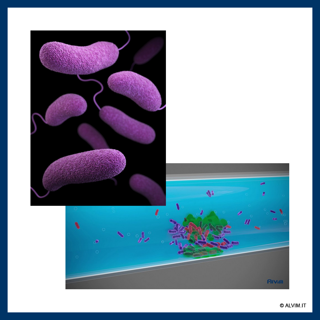 Legionella prevention
