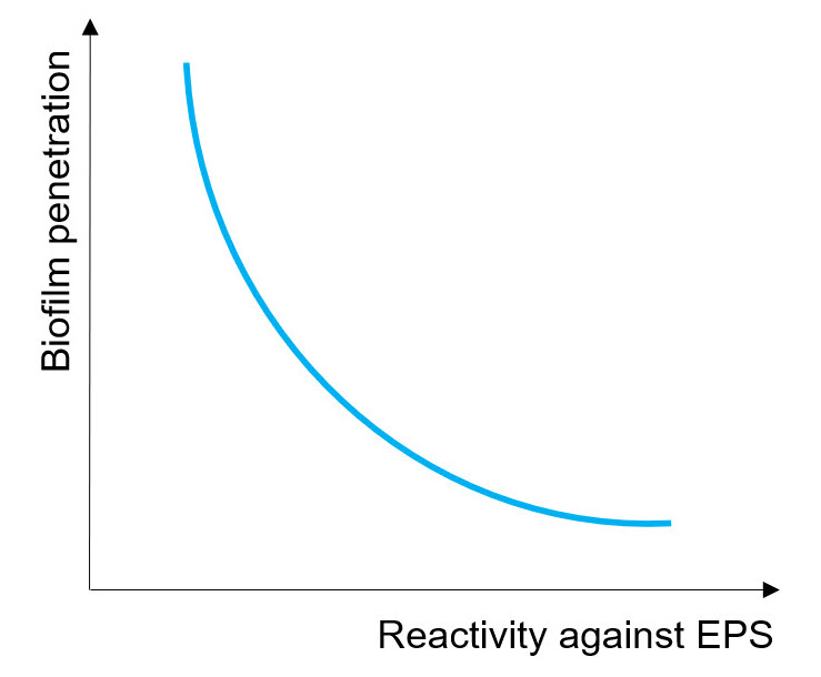 Biocide capability to penetrate  biofilm is inversely proportional to its reactivity against EPS layer