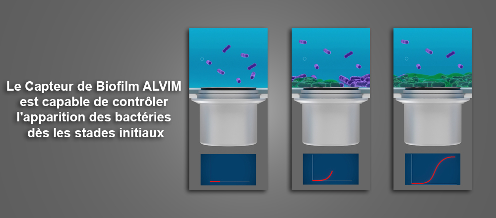 Le Capteur de Biofilm ALVIM est capable de contrôler l'apparition des bactéries dès les stades initiaux