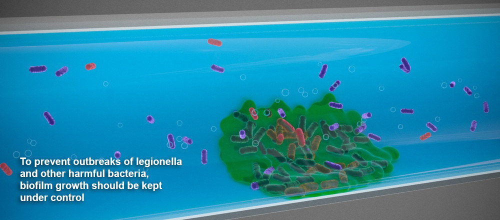 In order to prevent outbreaks of legionella and other harmful bacteria, biofilm growth should be kept under control