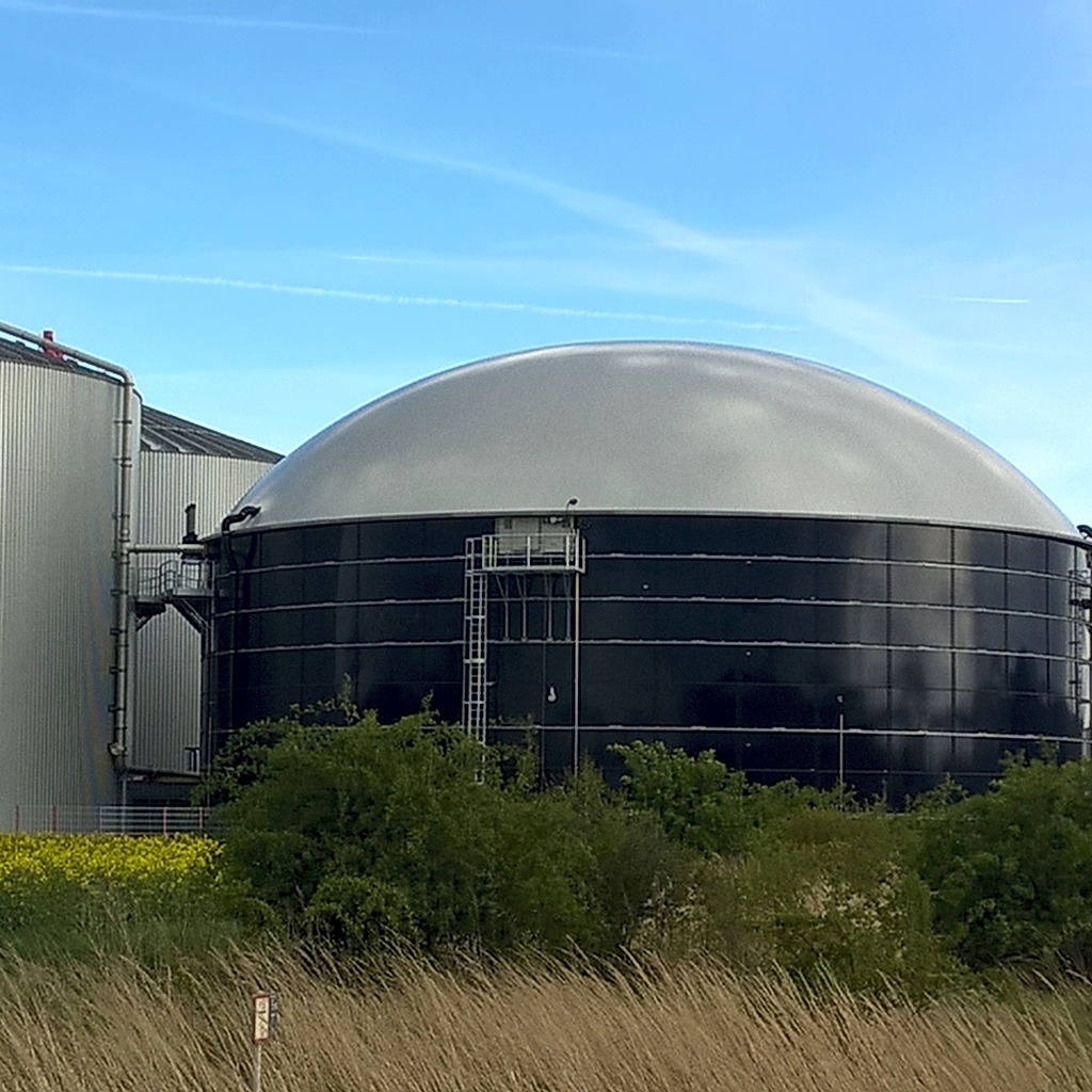 Bacteria-related issues in Biogas upgrading plants