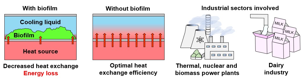 Biofilm impact on heat exchange efficiency and plant production