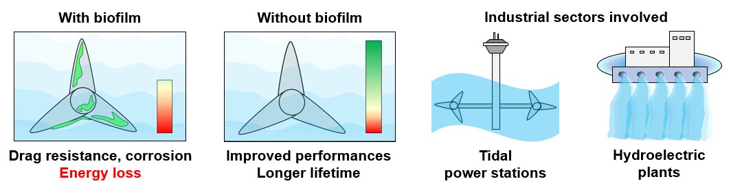 Biofilm impact on underwater equipment dedicated to energy production