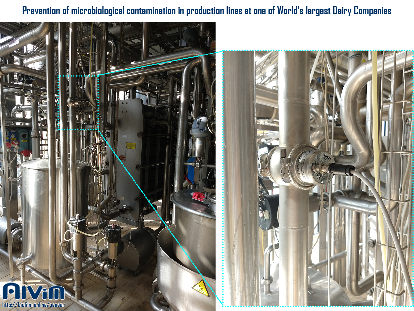 Prevention of bacterial contamination in the Dairy
