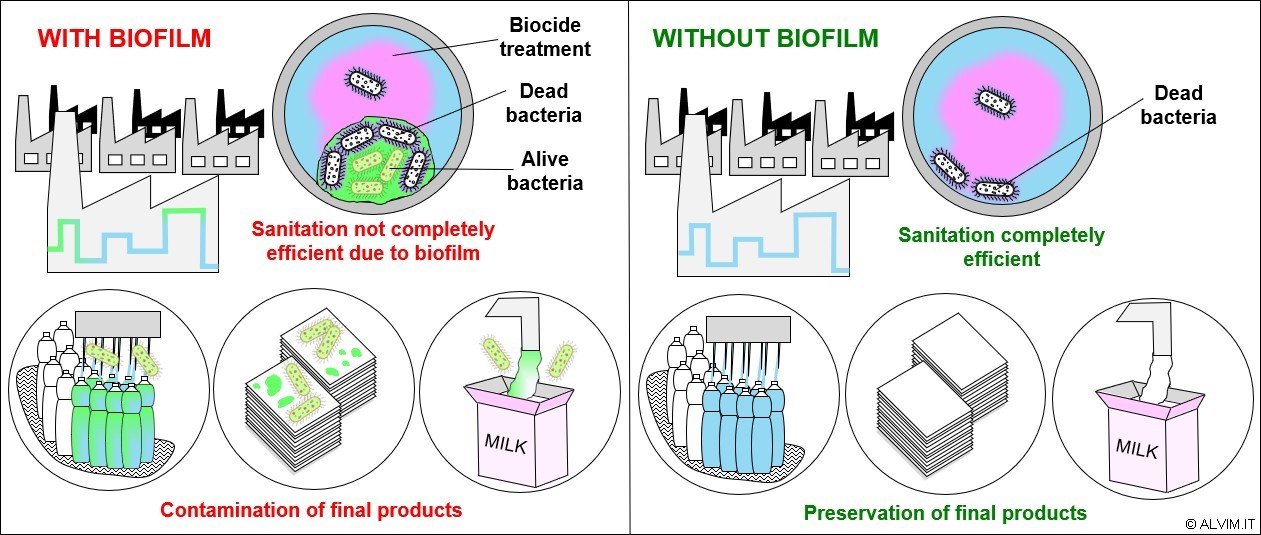 Issues related to biofilm increased resistance toward antimicrobial treatments