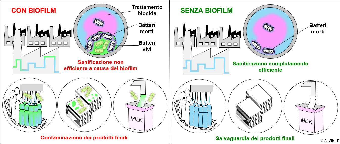 Problemi relativi all'elevata resistenza del biofilm verso i trattamenti antimicrobici