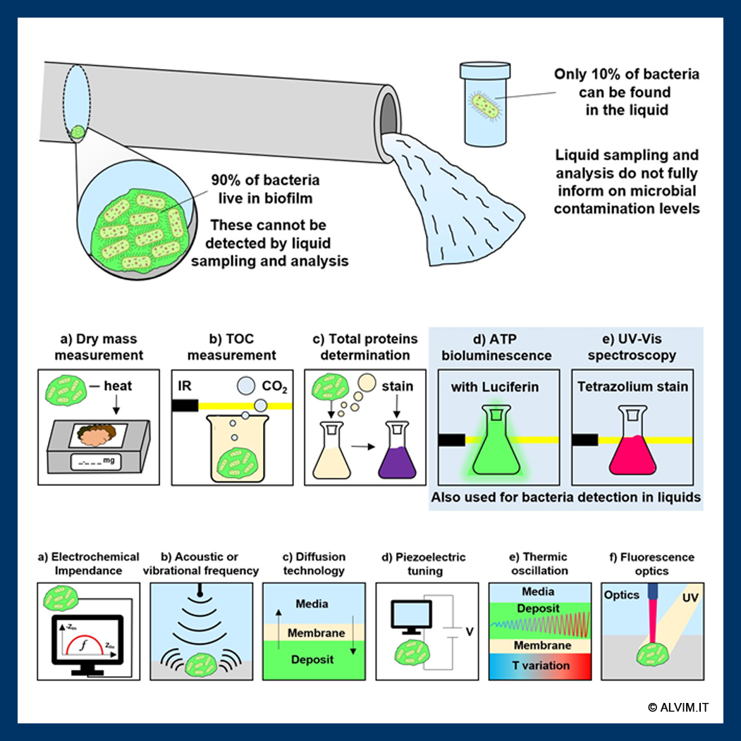 Different bacteria detection methods and techniques