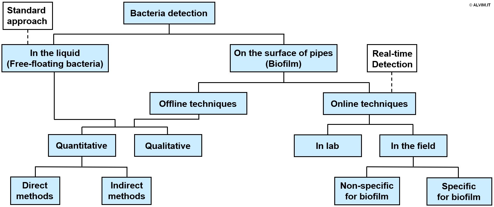Different categories of bacteria detection methods and techniques