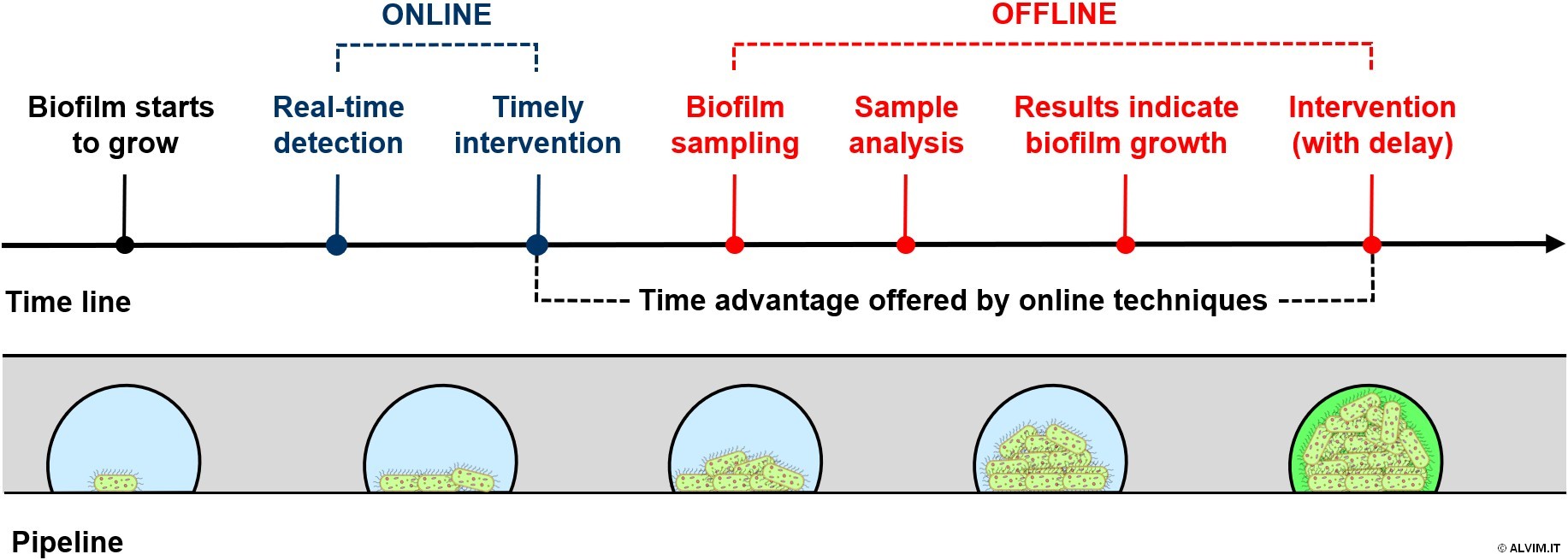 ONLINE VS OFFLINE techniques for biofilm monitoring