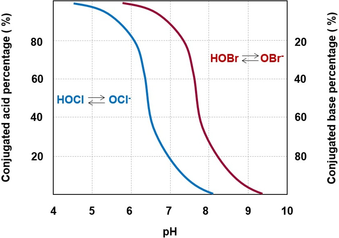 Different dissociation trends of hypochlorous acid and hypobromous acid