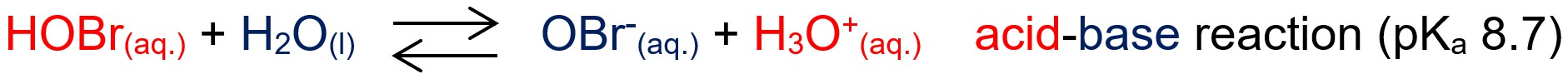 Acid-base reaction of hypobromous acid and water to yield hypobromite anion and hydronium cation