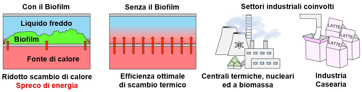 Impatto del Biofilm sulla efficienza di scambio termico e sulla produzione industriale