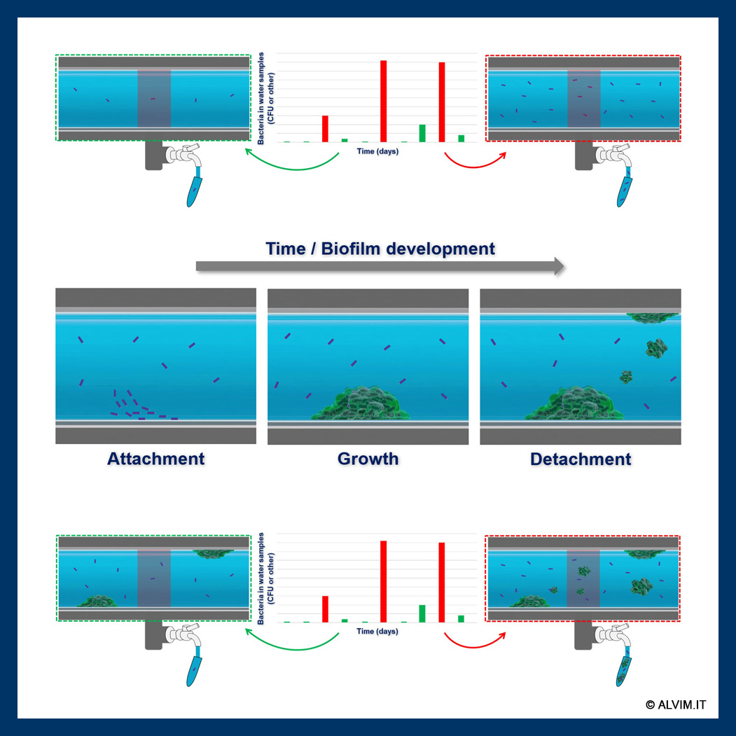 Return On Investment of Biofilm Monitoring