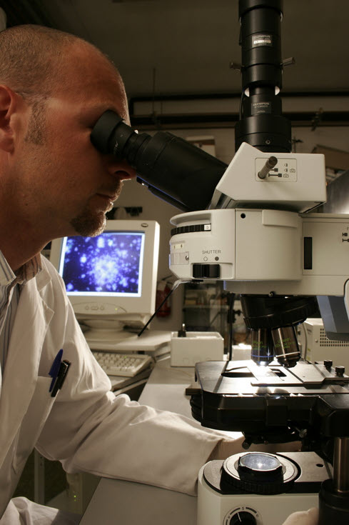 Microscope observation