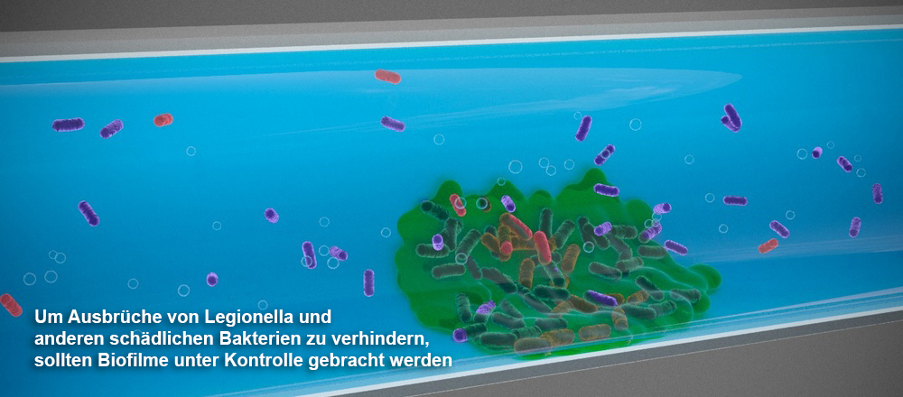 Um Ausbrüche von Legionella und anderen schädlichen Bakterien zu verhindern, sollten Biofilme unter Kontrolle gebracht werden