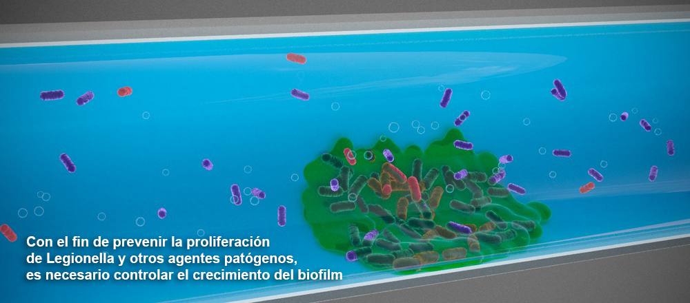 Con el fin de prevenir la proliferación de Legionella y otros agentes patógenos, es necesario controlar el crecimiento del biofilm